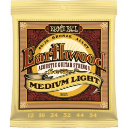 ERNIE BALL 2003 Earthwood Medium Light